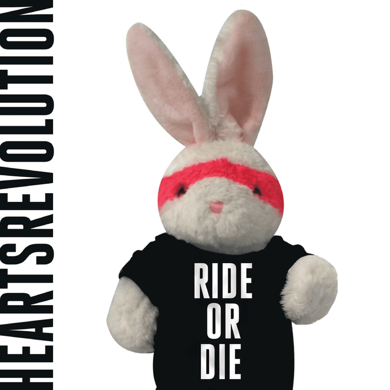 Cover image for Ride Or Die - EP