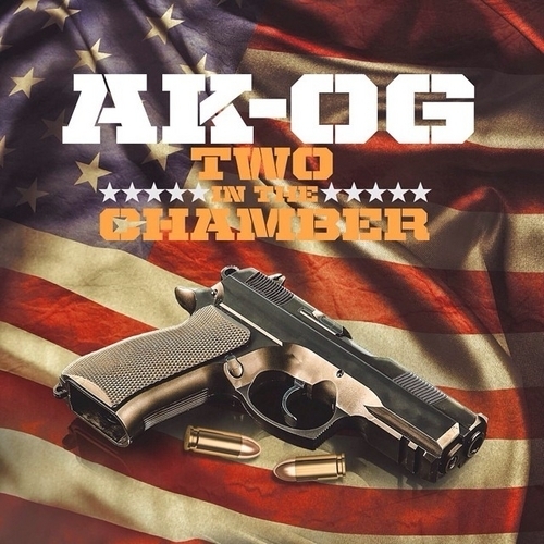 Cover image for 2 In A Chamber