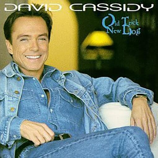 Album cover art for "No Bridge I Wouldn’t Cross" by David Cassidy