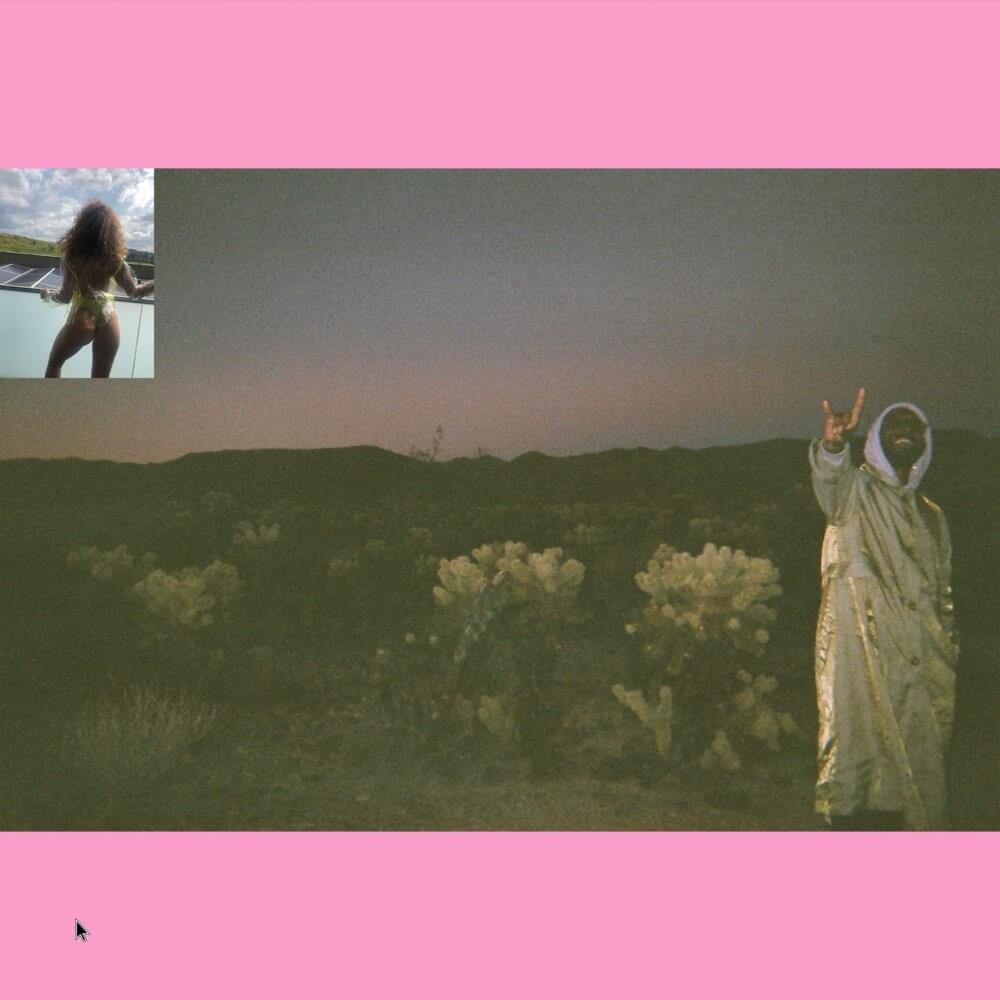 Album cover art for "BODYGUARD!" by JPEGMAFIA