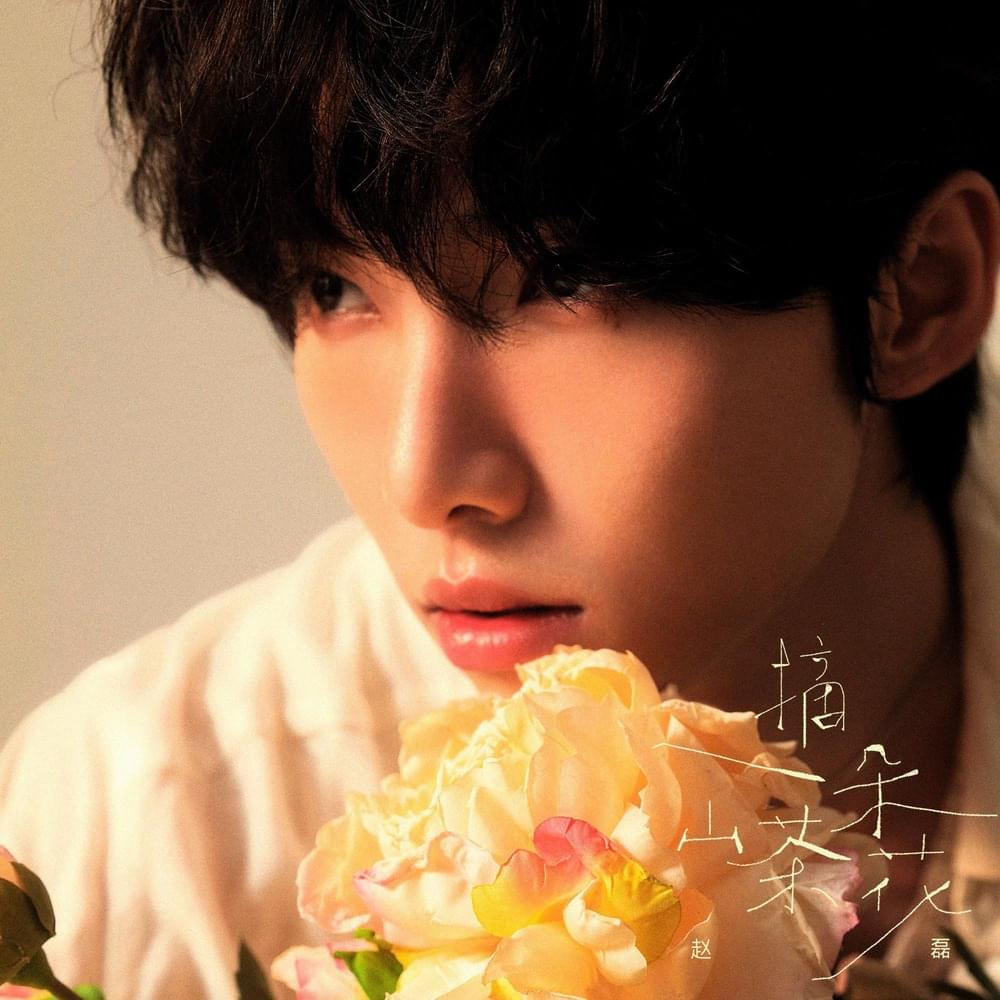 摘一朵山茶花(Pick a camellia) by 赵磊 (Zhao Lei) (CHN)