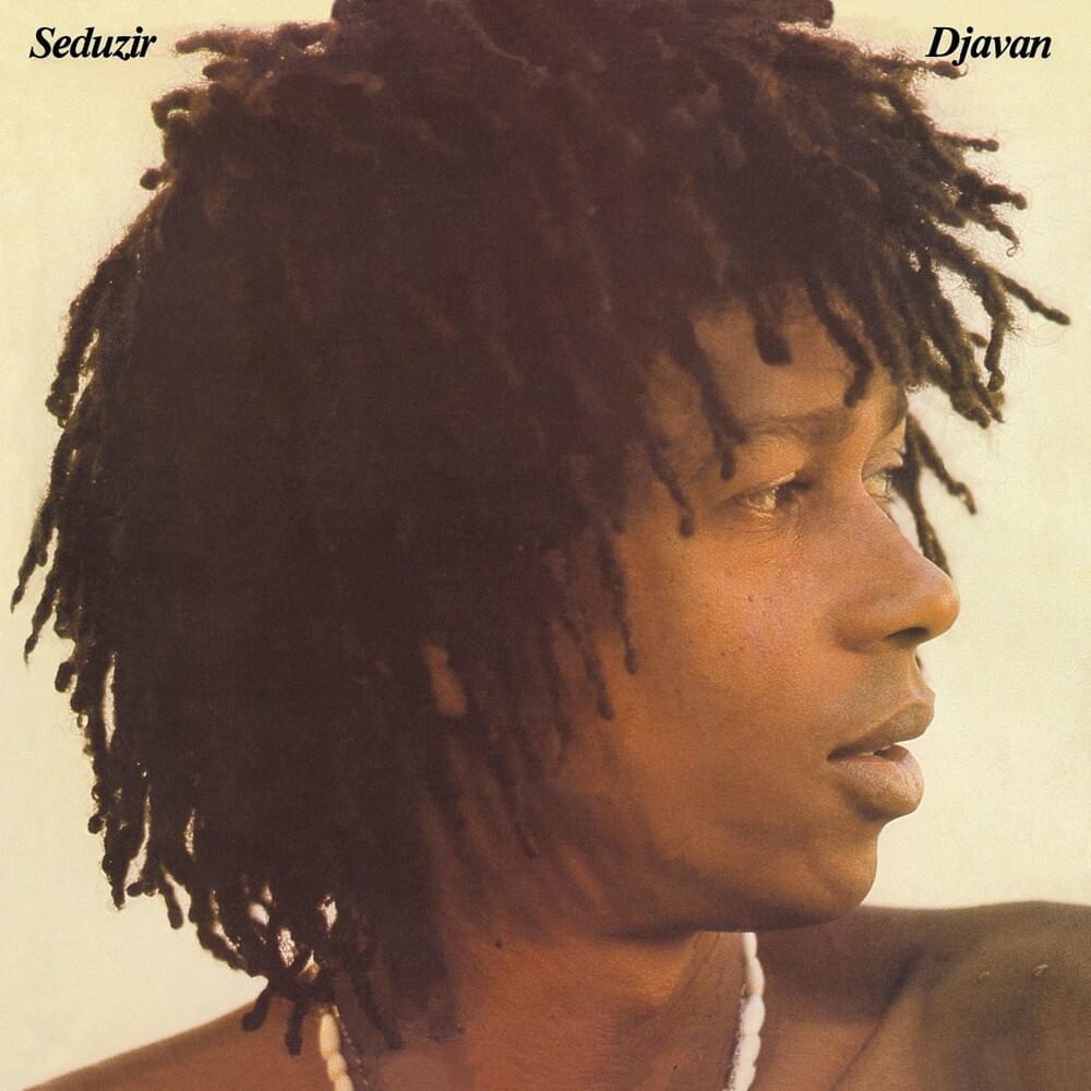 Cover image for Seduzir