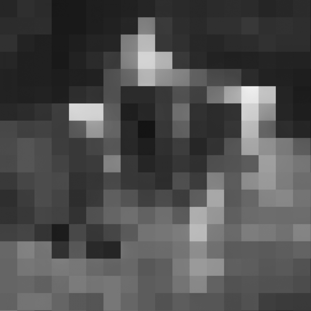 Cover image for Little Men (Deluxe)
