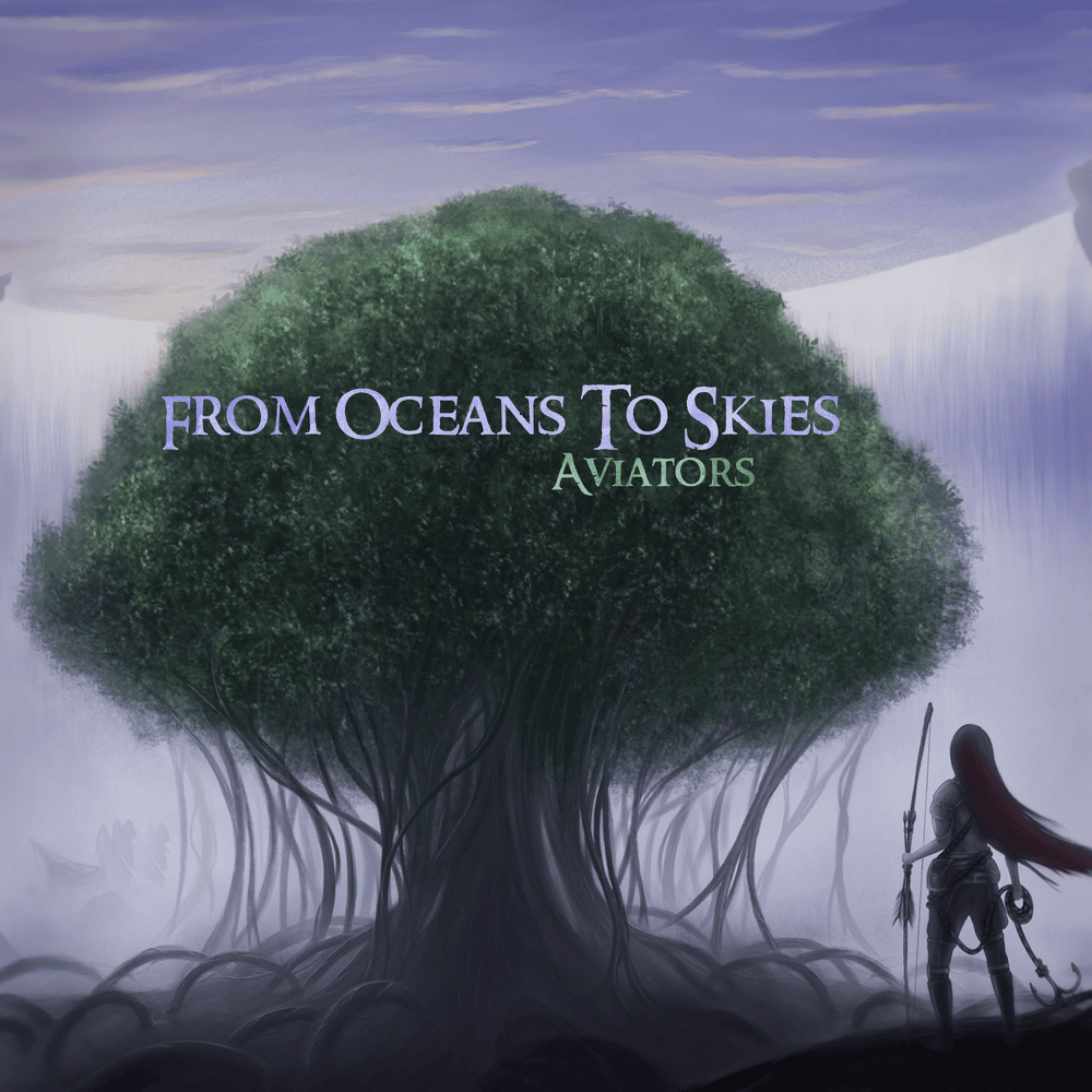 Cover image for From Oceans to Skies