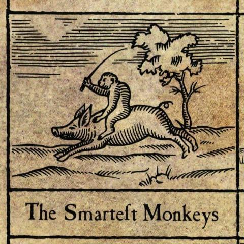 Album cover art for "The Smartest Monkeys" by XTC