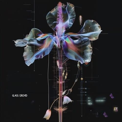 Cover image for Glass Orchid