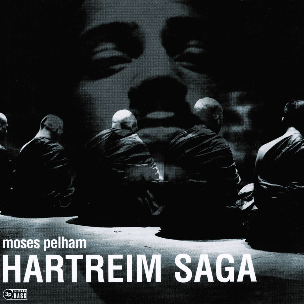 Album cover art for "Hartreim Saga" by Moses Pelham & Illmat!c