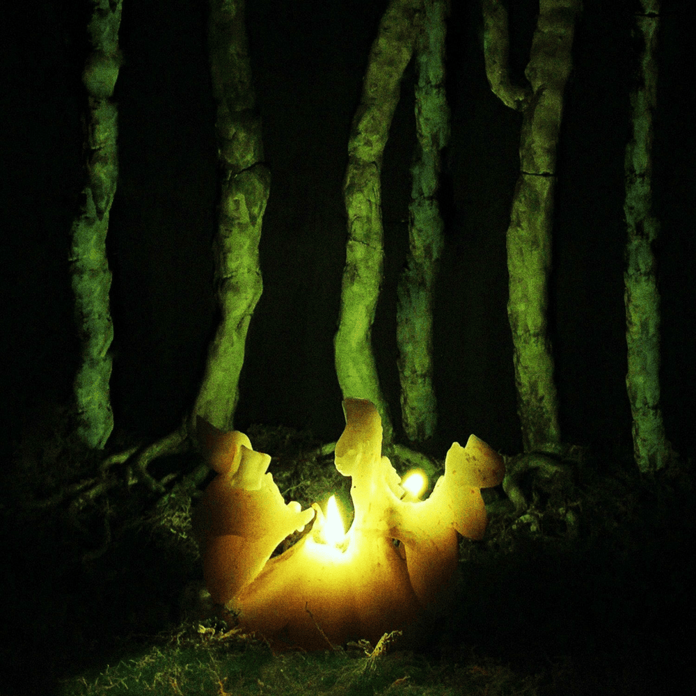 Cover image for Maléfique