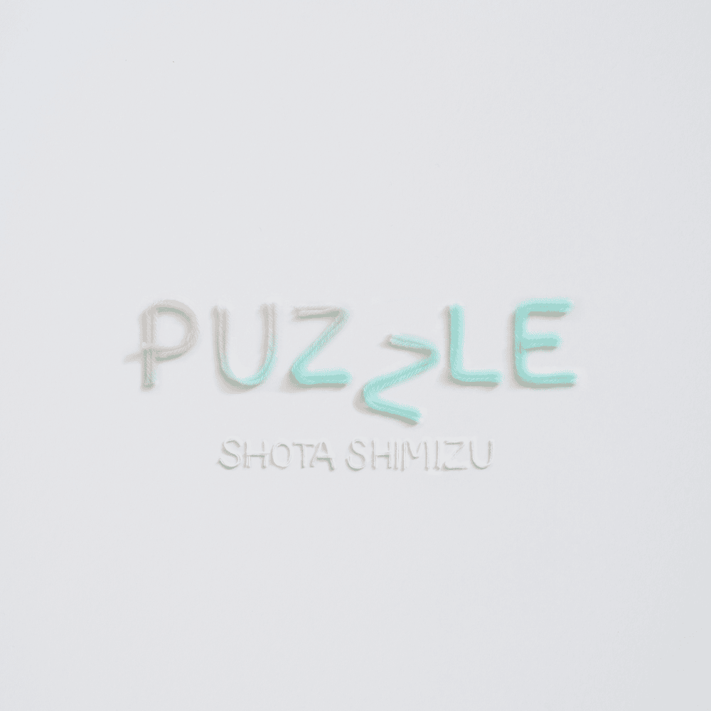 Album cover art for "PUZZLE" by 清水翔太 (Shota Shimizu)