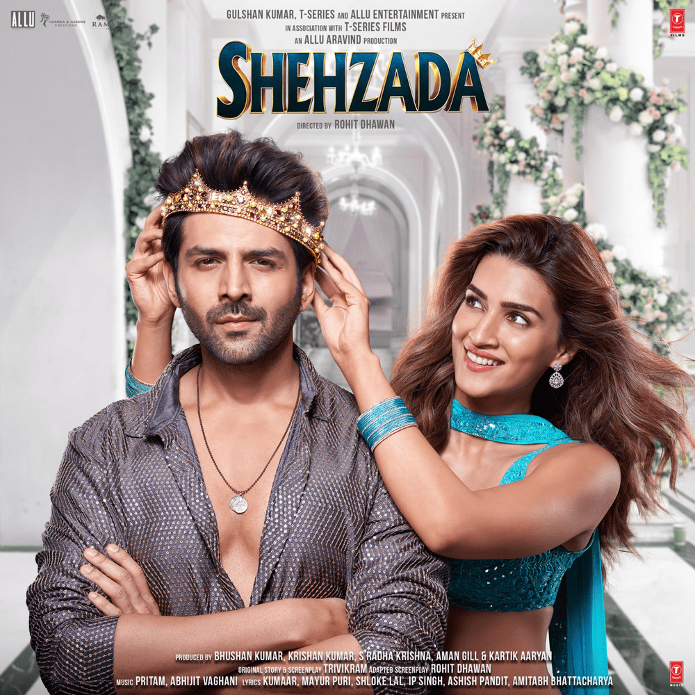 Cover image for Shehzada