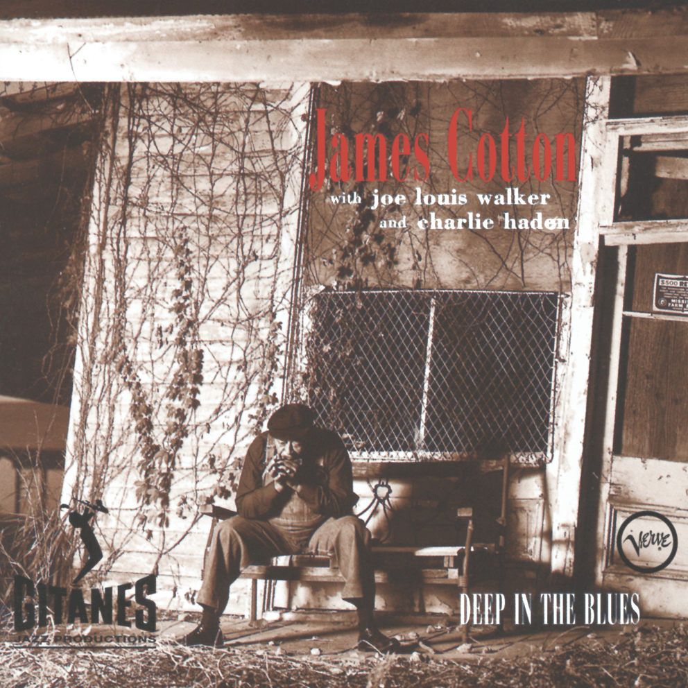 Worried Life Blues by James Cotton