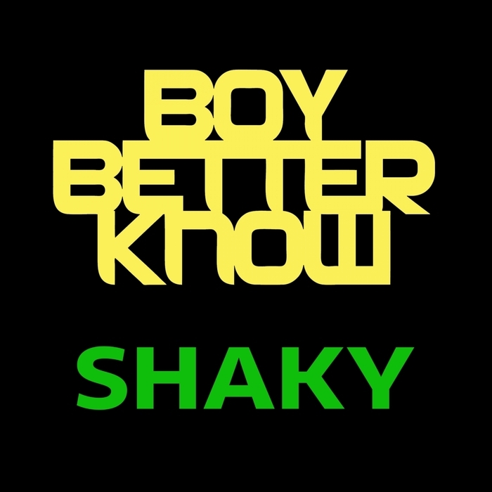 Album cover art for "Shaky" by DJ Maximum & Jammer & Shorty & Skepta & Lay-Z & Frisco & Solo 45 & Boy Better Know & Newbaan