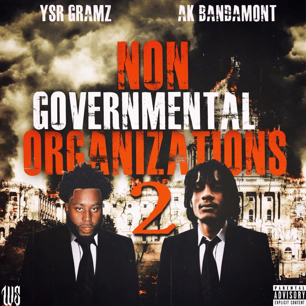 Cover image for Non Governmental Organizations 2