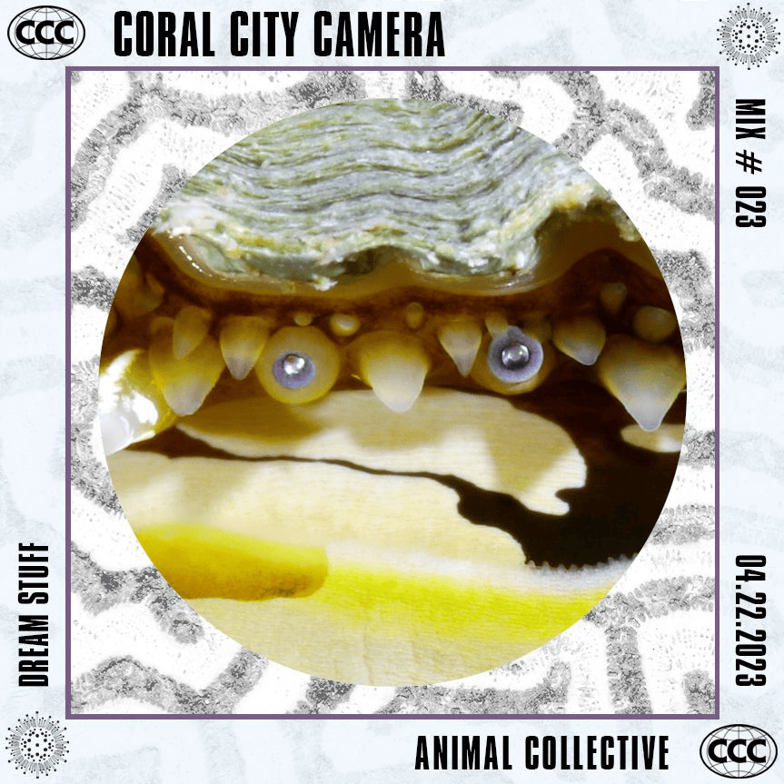 Cover image for Dream Stuff by Animal Collective - Coral City Camera Mix #023