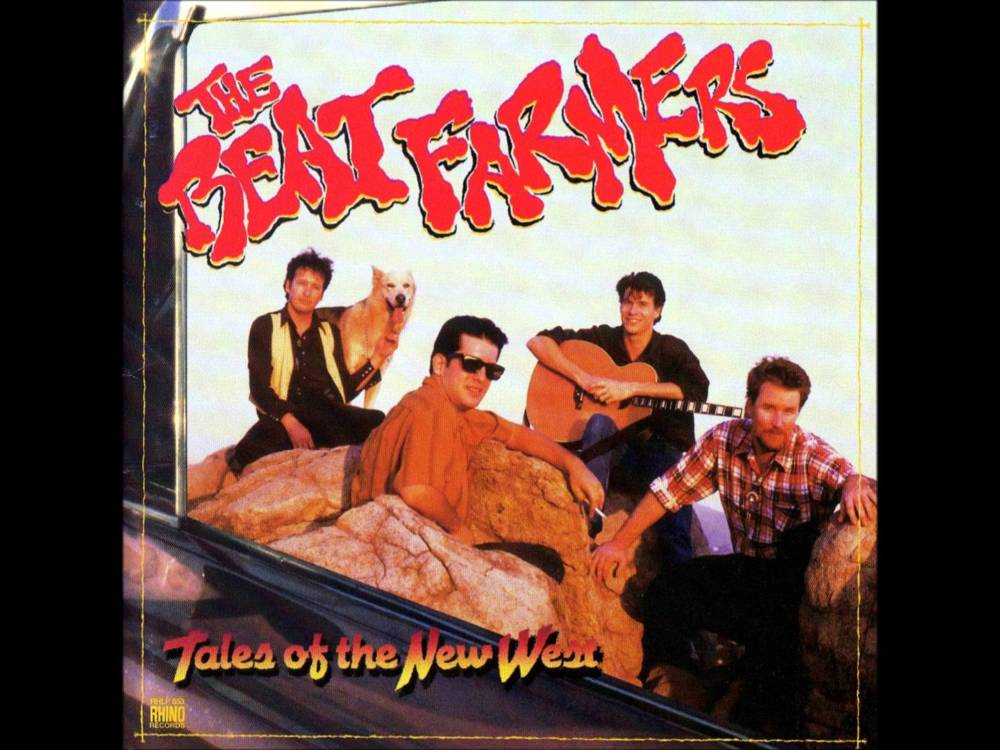 Album cover art for "Happy Boy" by Beat Farmers