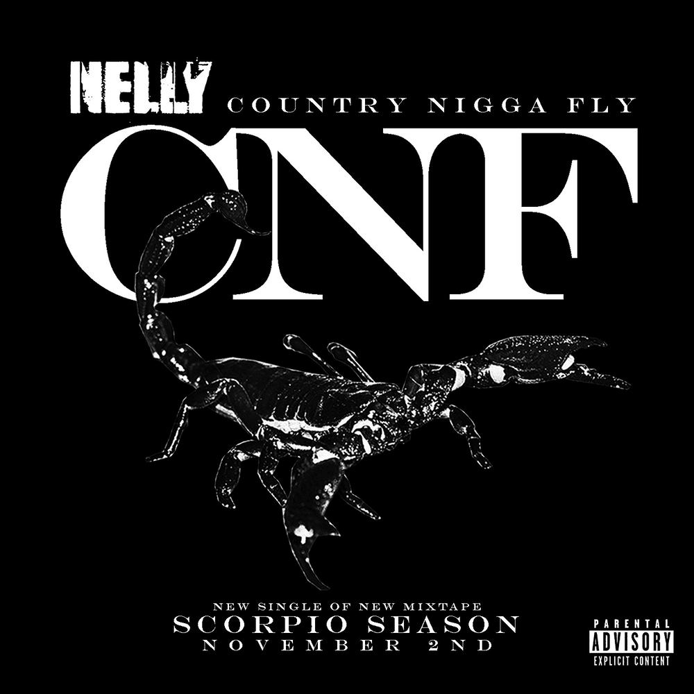 Album cover art for "C-N-F (Country Nigga Fly)" by Nelly