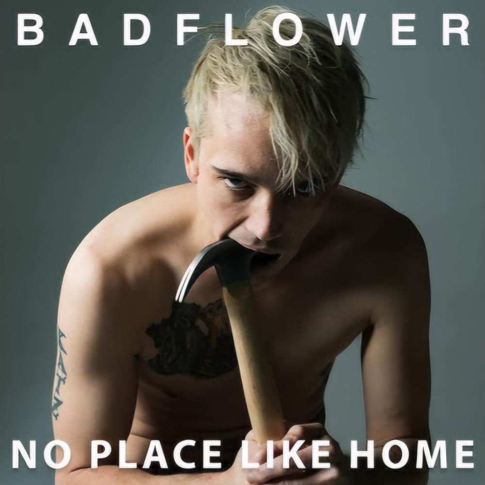 Cover image for No Place Like Home