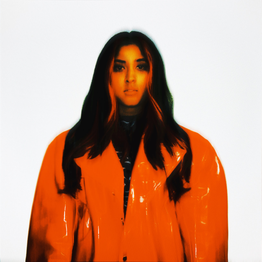 Cover image for NOCTURNAL HOURS