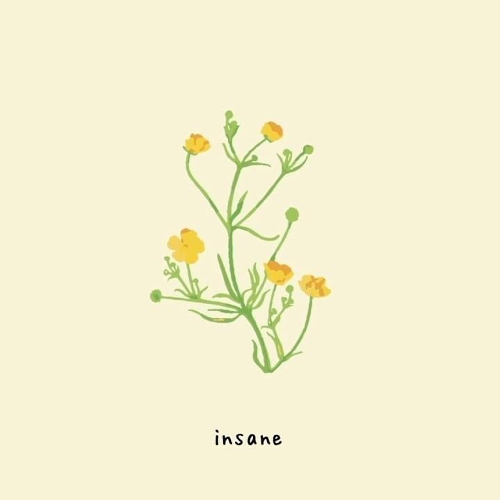 Album cover art for "​insane" by gnash