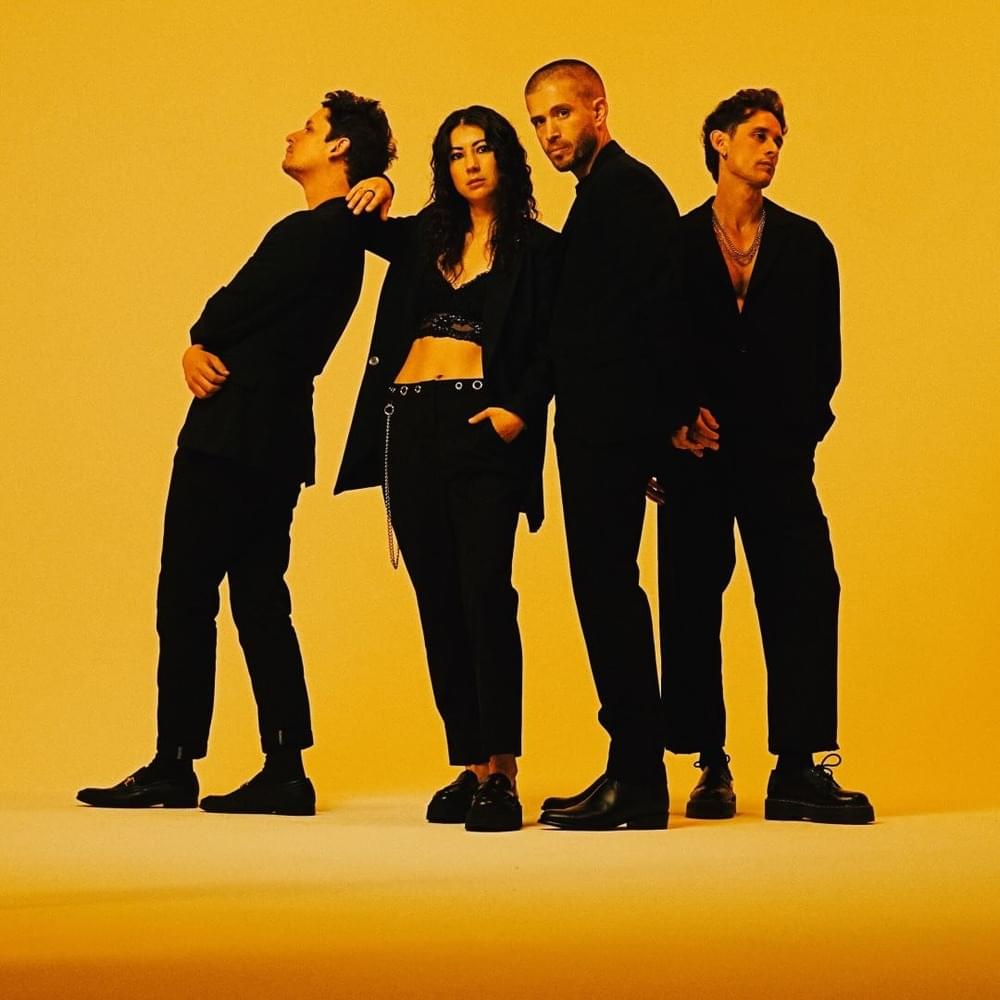 Cover image for The Summer Set