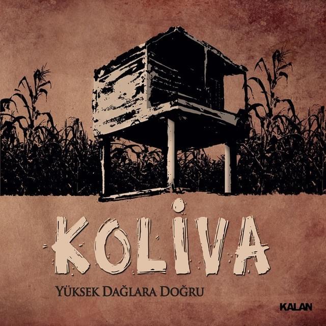 Cover image for Yüksek Dağlara Doğru