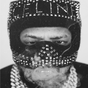 Album cover art for "The Fly who couldn’t Fly straight" by Westside Gunn & Tyler, The Creator