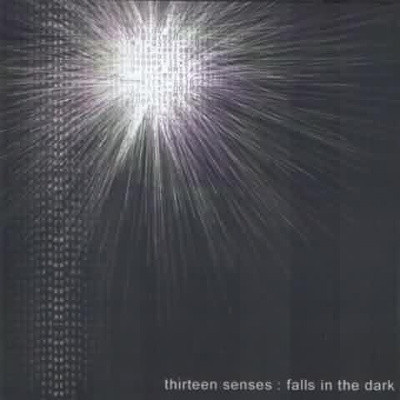 Cover image for Falls in the Dark