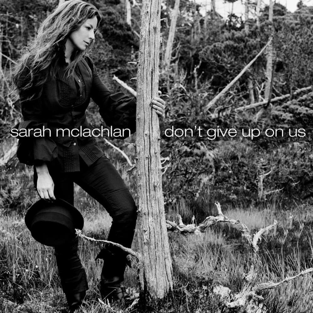Album cover art for "Don’t Give Up On Us" by Sarah McLachlan