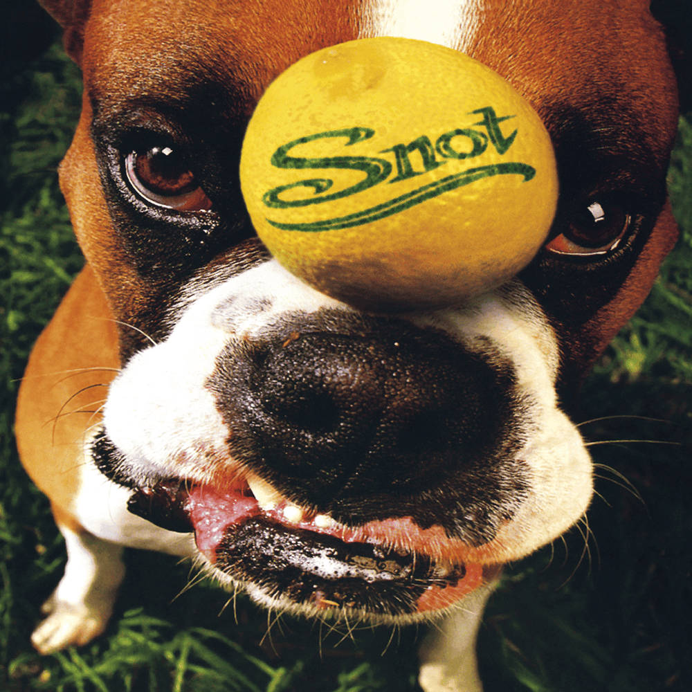 Album cover art for "Deadfall" by Snot (Hardcore Punk)​