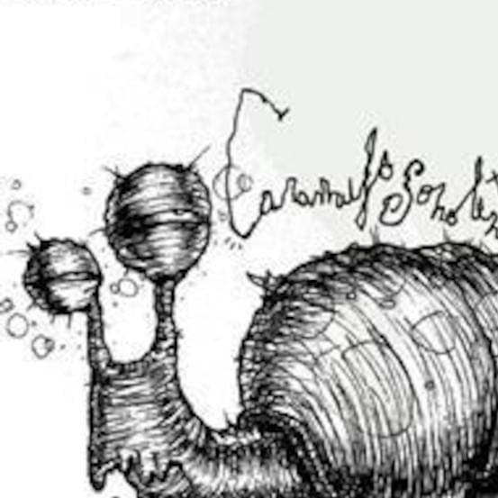 Caramujo Sonolento Profile Picture Photo of Caramujo Sonolento