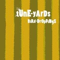 Cover image for BiRd-DrOpPiNgS