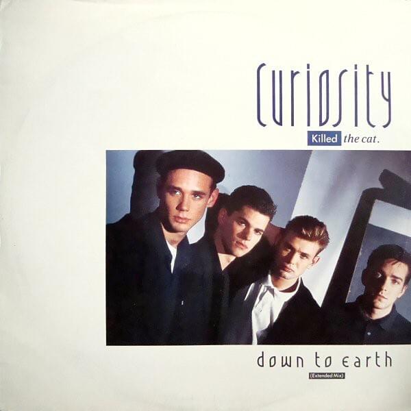 Cover image for Down to Earth