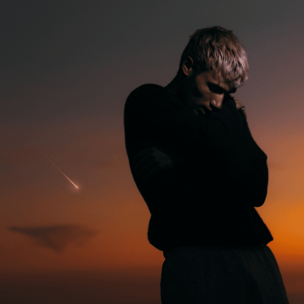Cover image for love is not dying (Deluxe)