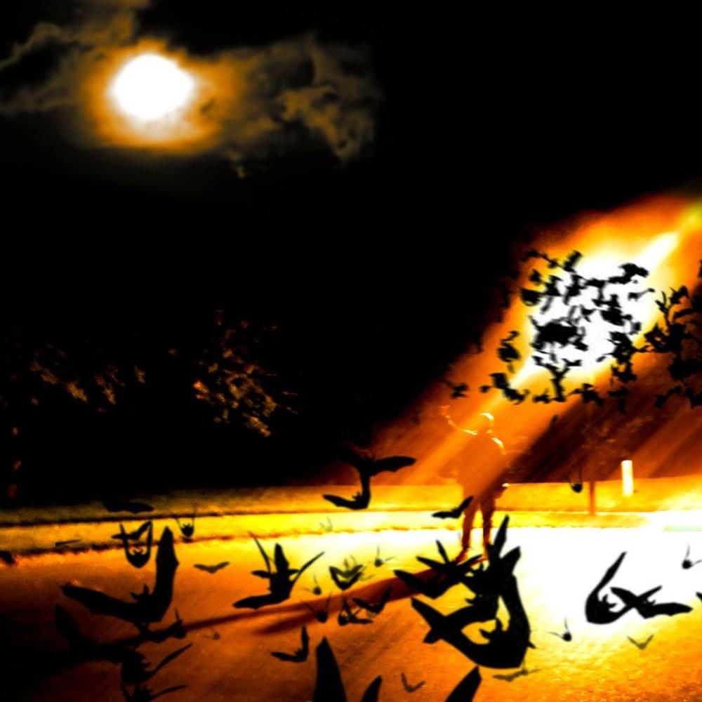 Album cover art for "50" by XO Alone