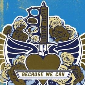 Album cover art for "Because We Can" by Bon Jovi