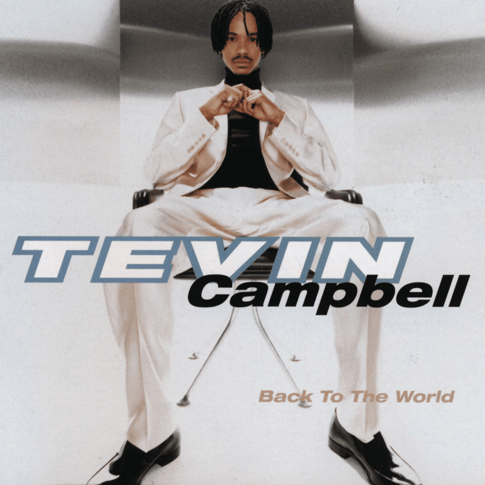 Cover image for Back to the World