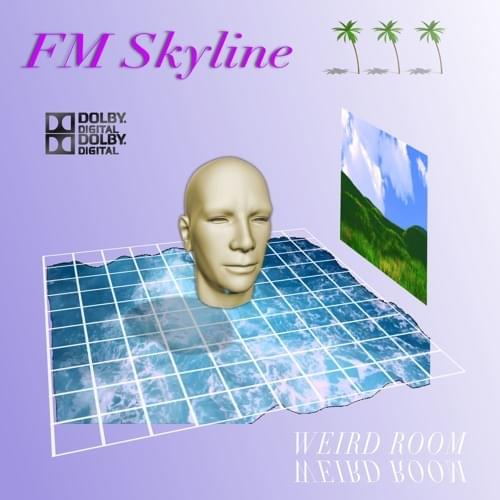 Album cover art for "Weird room" by FM Skyline