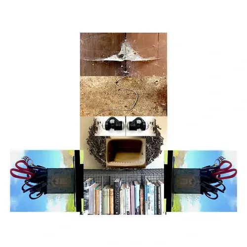 Cut to the Cat by Kevin Godley