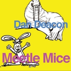 Cover image for Meetle Mice
