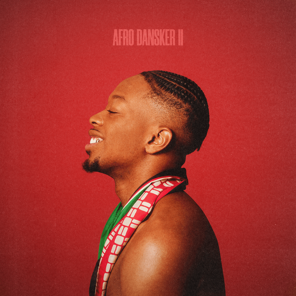 Cover image for AFRO DANSKER II