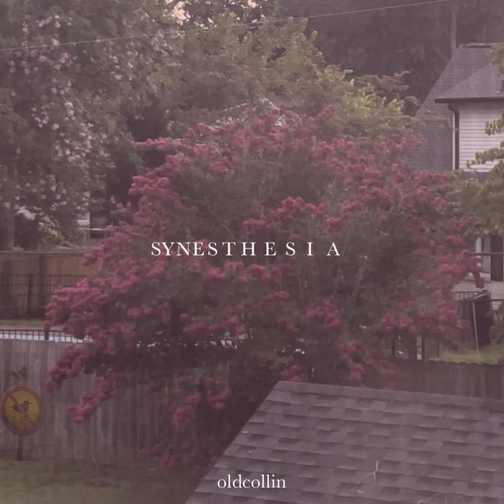 ‎orchestra by ​old collin