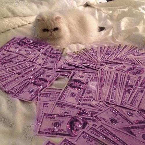 Album cover art for "WE CHASIN HUNDOS TRYNA STAKK DIFFERENT COLOR HUNDOS" by Lil Tracy & Marcy Mane