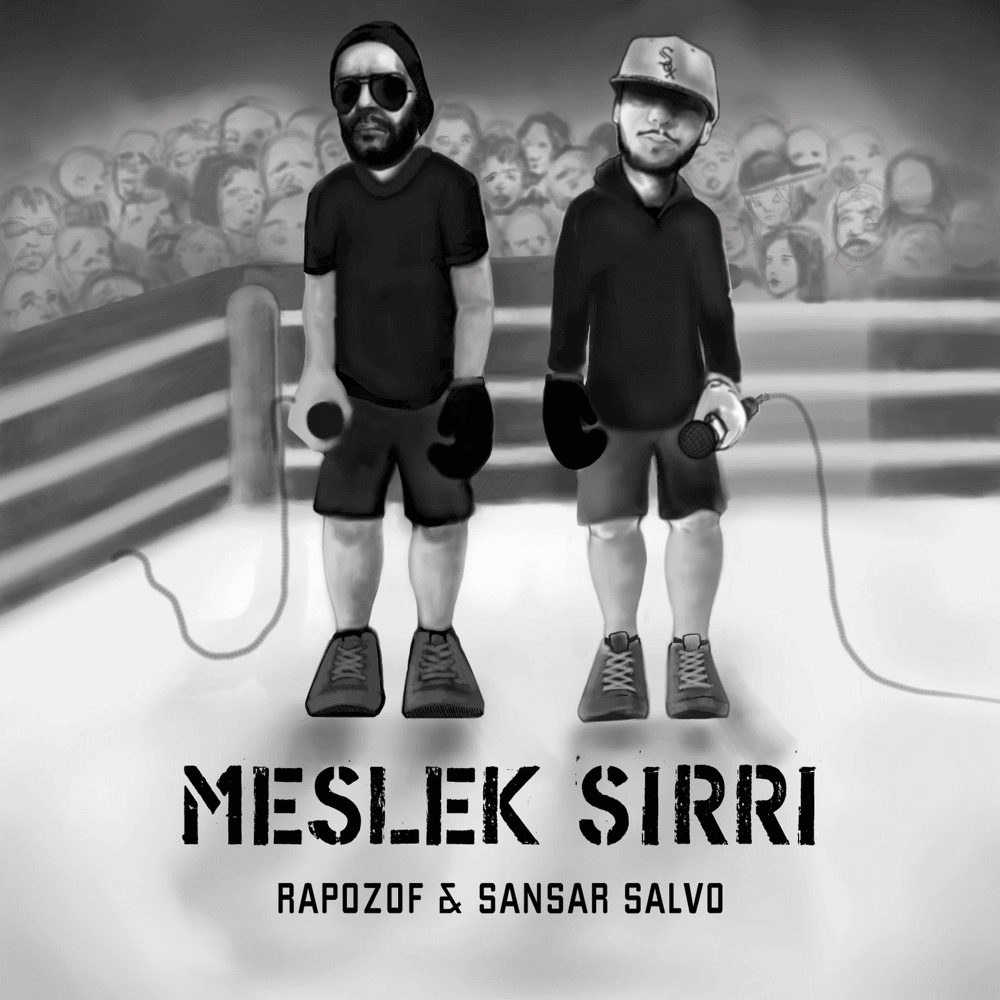 Album cover art for "Meslek Sırrı" by Sansar Salvo