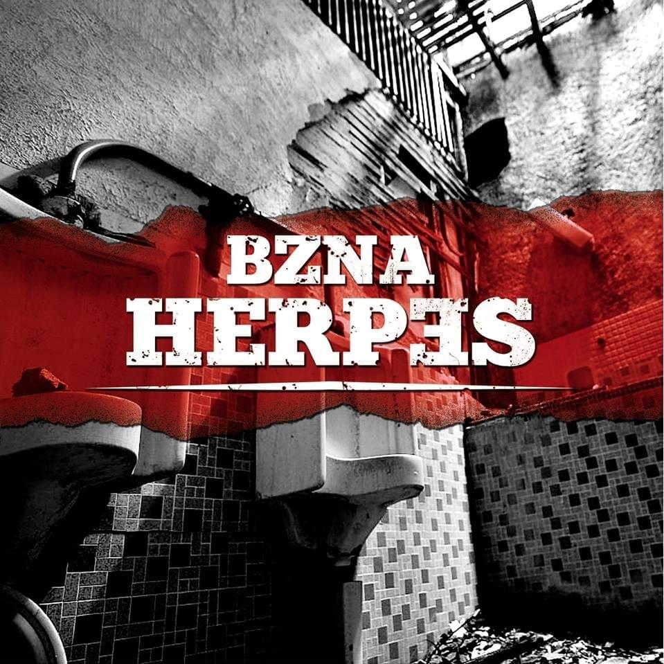 Cover image for Herpes