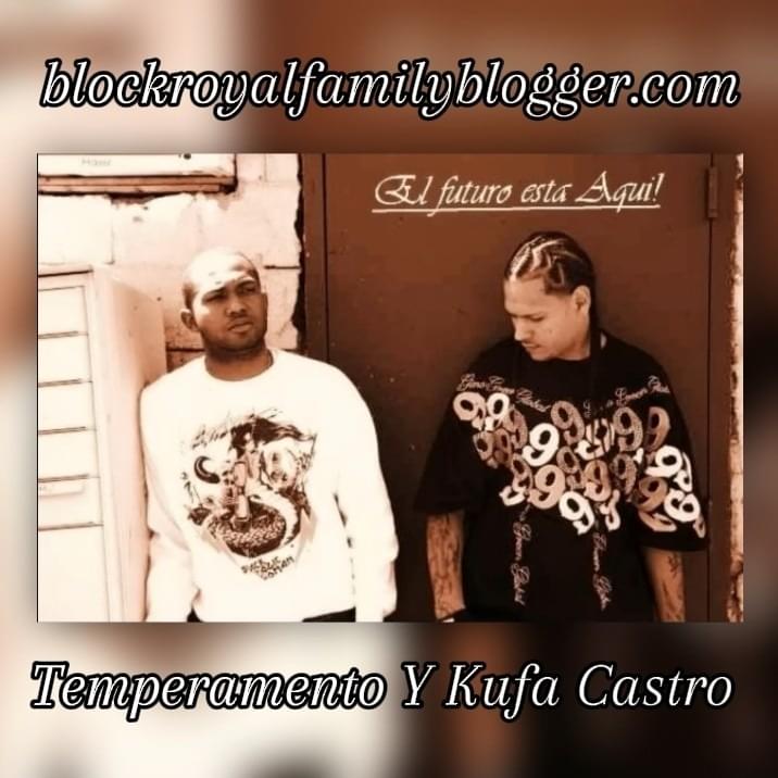 Cover image for Temperamento Y Kufa Castro