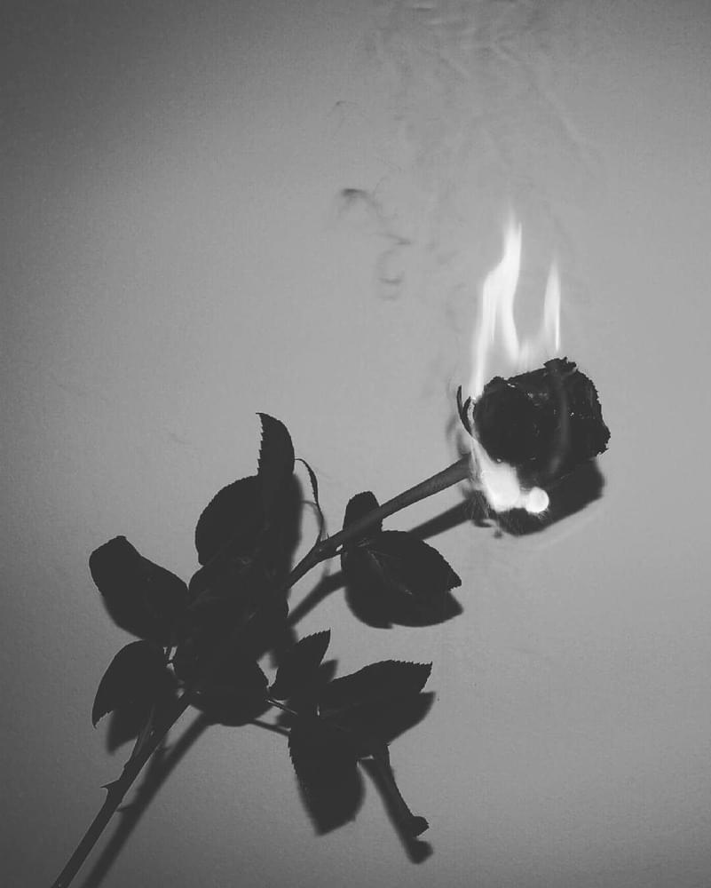 Album cover art for "LOST ROSE" by Yøung SadzZz