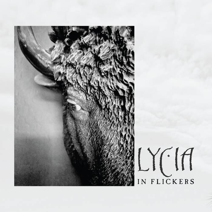 A Failure by Lycia