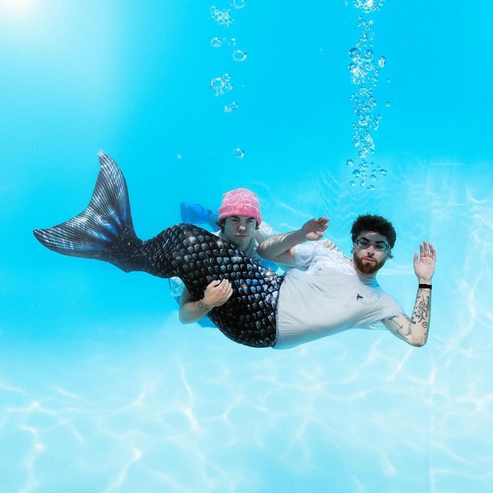 Album cover art for "Swordfish" by Nic D