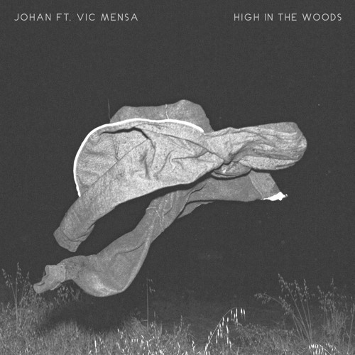 Album cover art for "High In The Woods (Remix)" by johan lenox & VIC MENSA