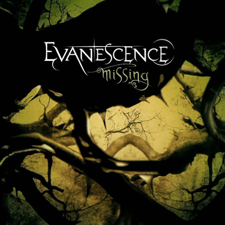 Album cover art for "Missing" by Evanescence